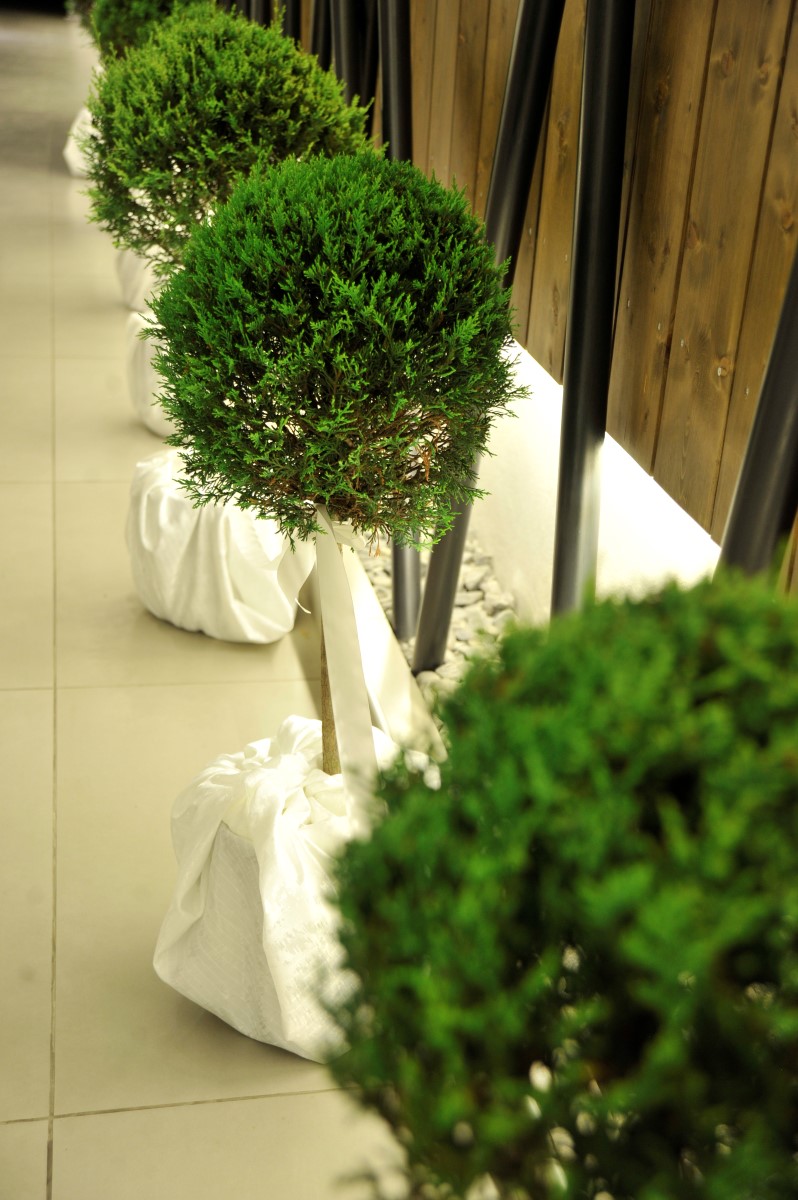 marinacharitopoulou_wedding_ED-39