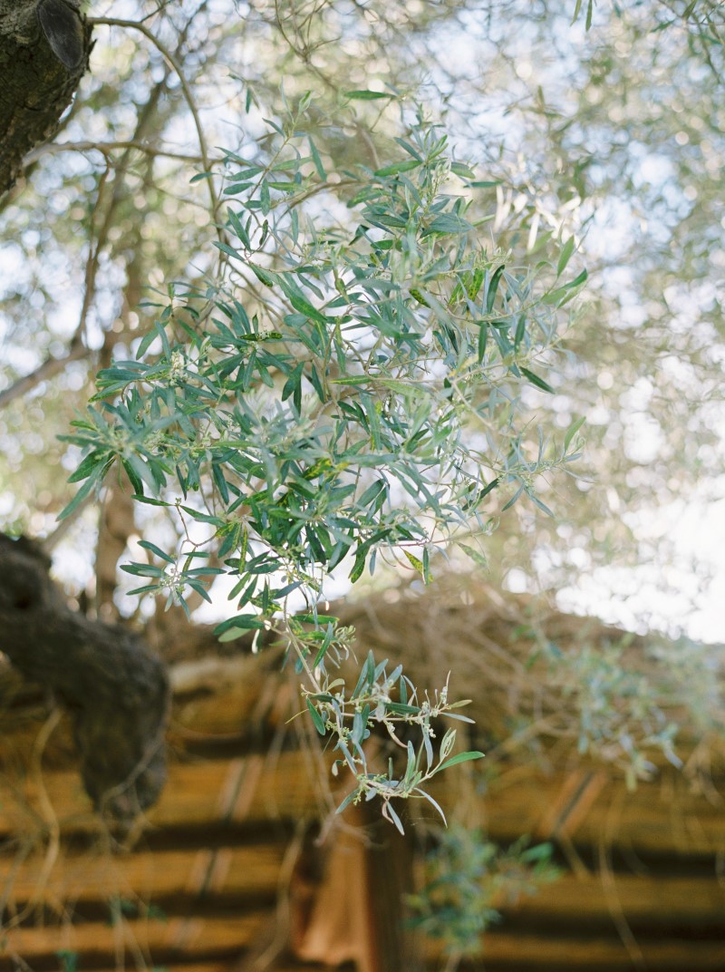marinacharitopoulou_wedding_GS-56